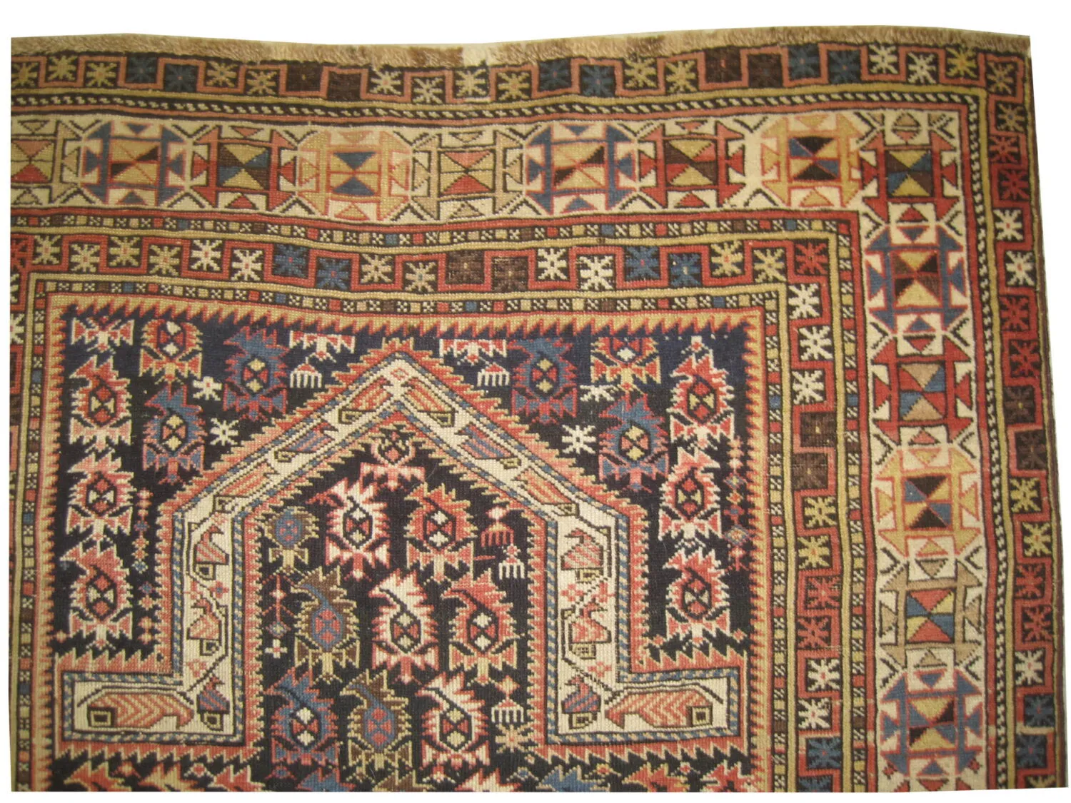 Marasali Caucasian - Image 3