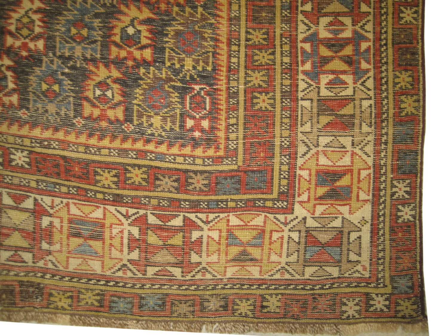 Marasali Caucasian - Image 2