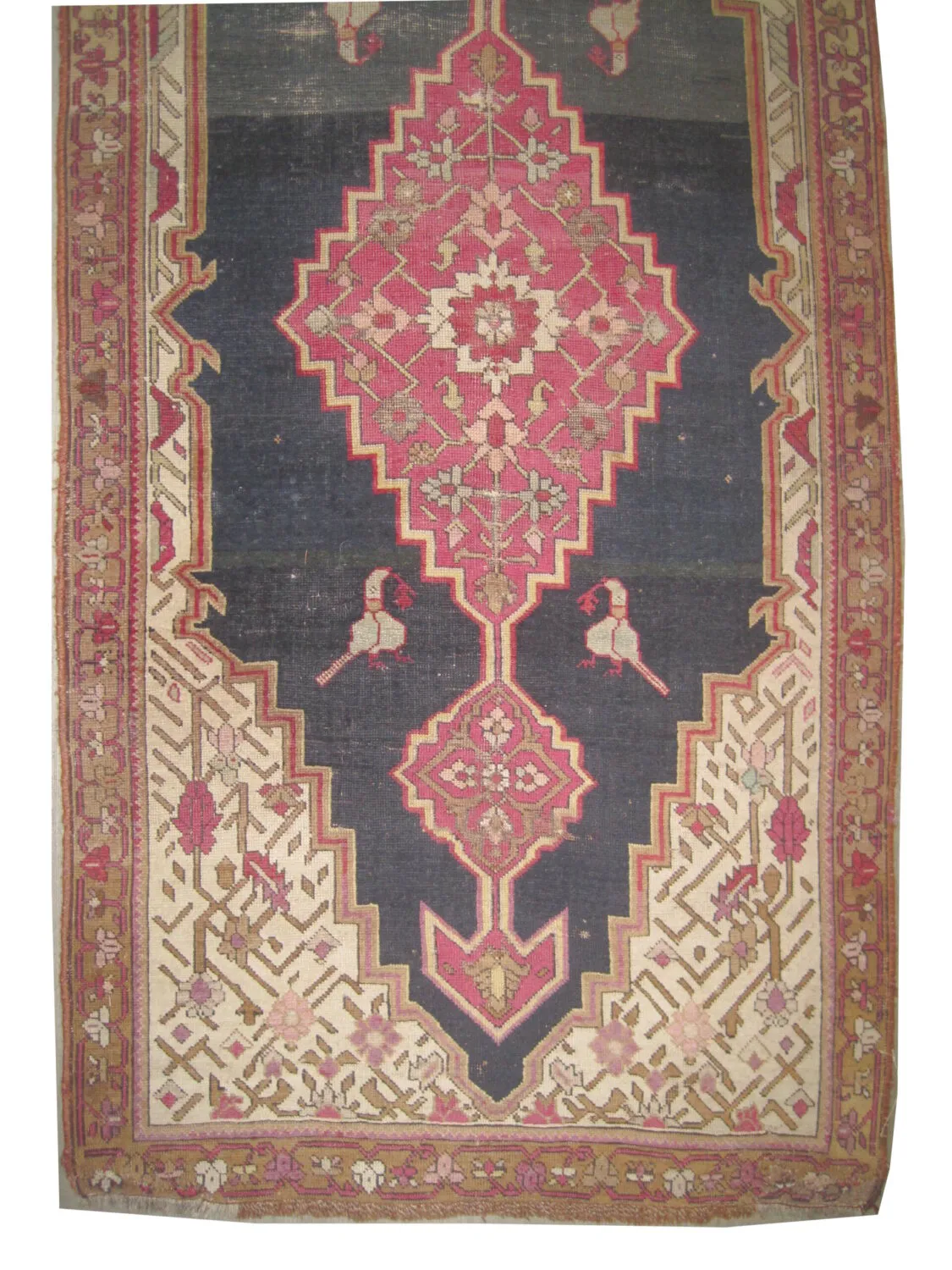 Shusha Caucasian - Image 4