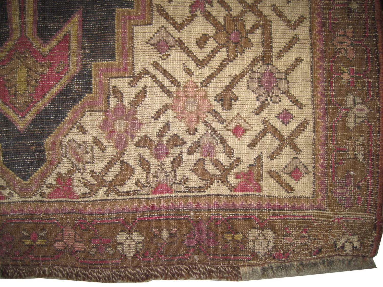 Shusha Caucasian - Image 2