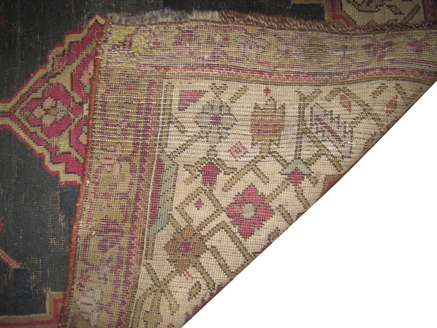 Shusha Caucasian - Image 5