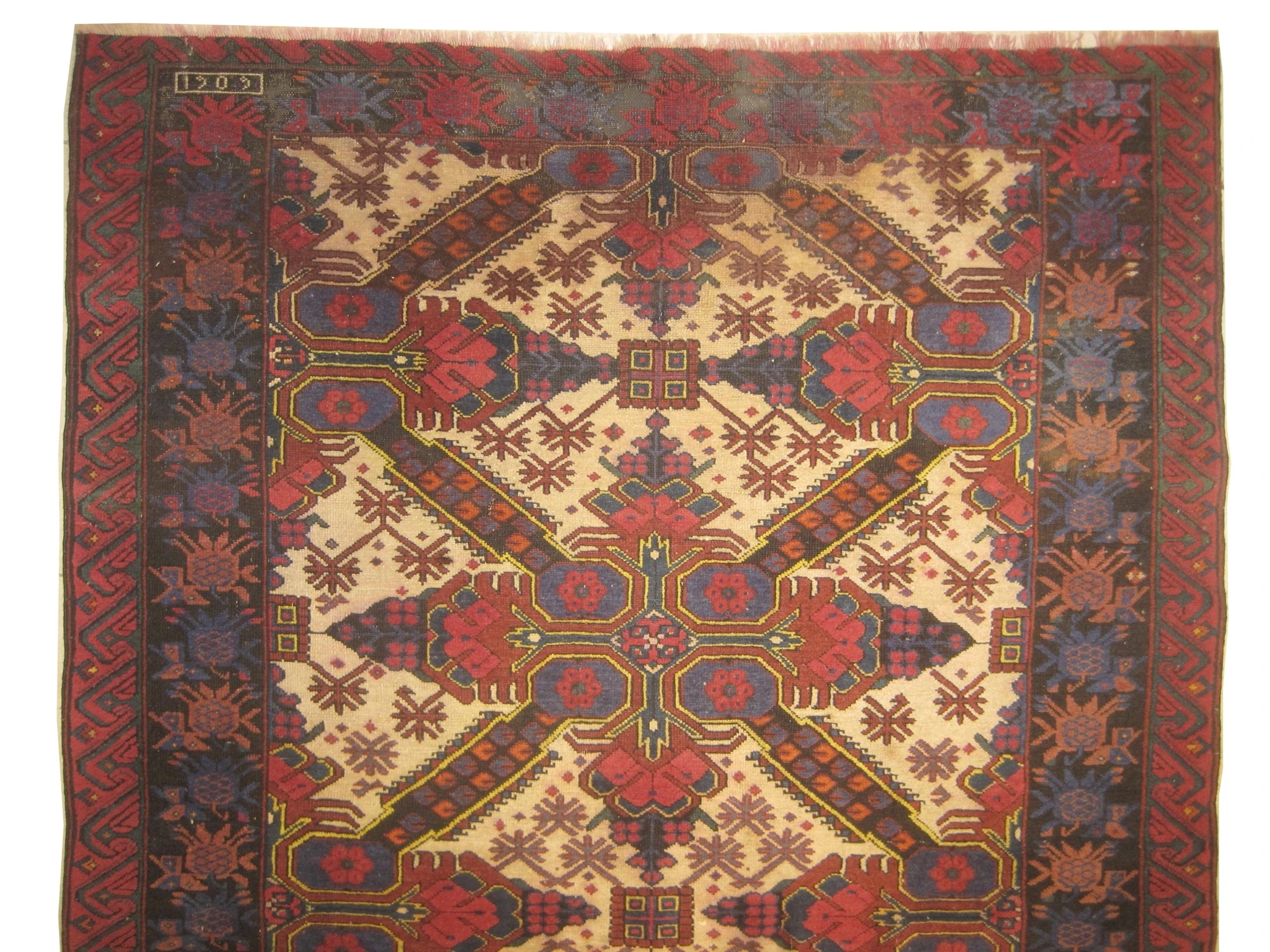 Sejshour Caucasian - Image 2
