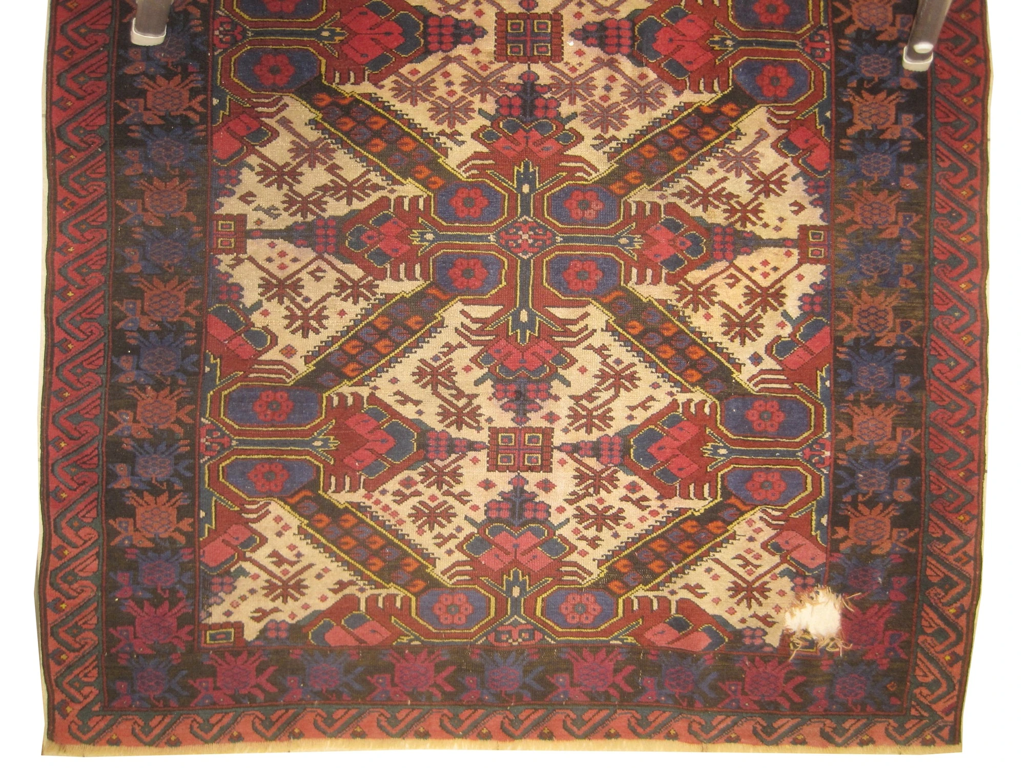 Sejshour Caucasian - Image 3