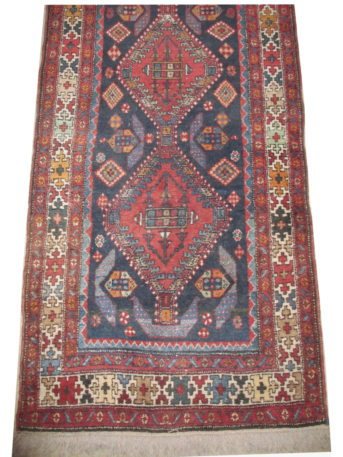 Chikli Kazak Caucasian - Image 4