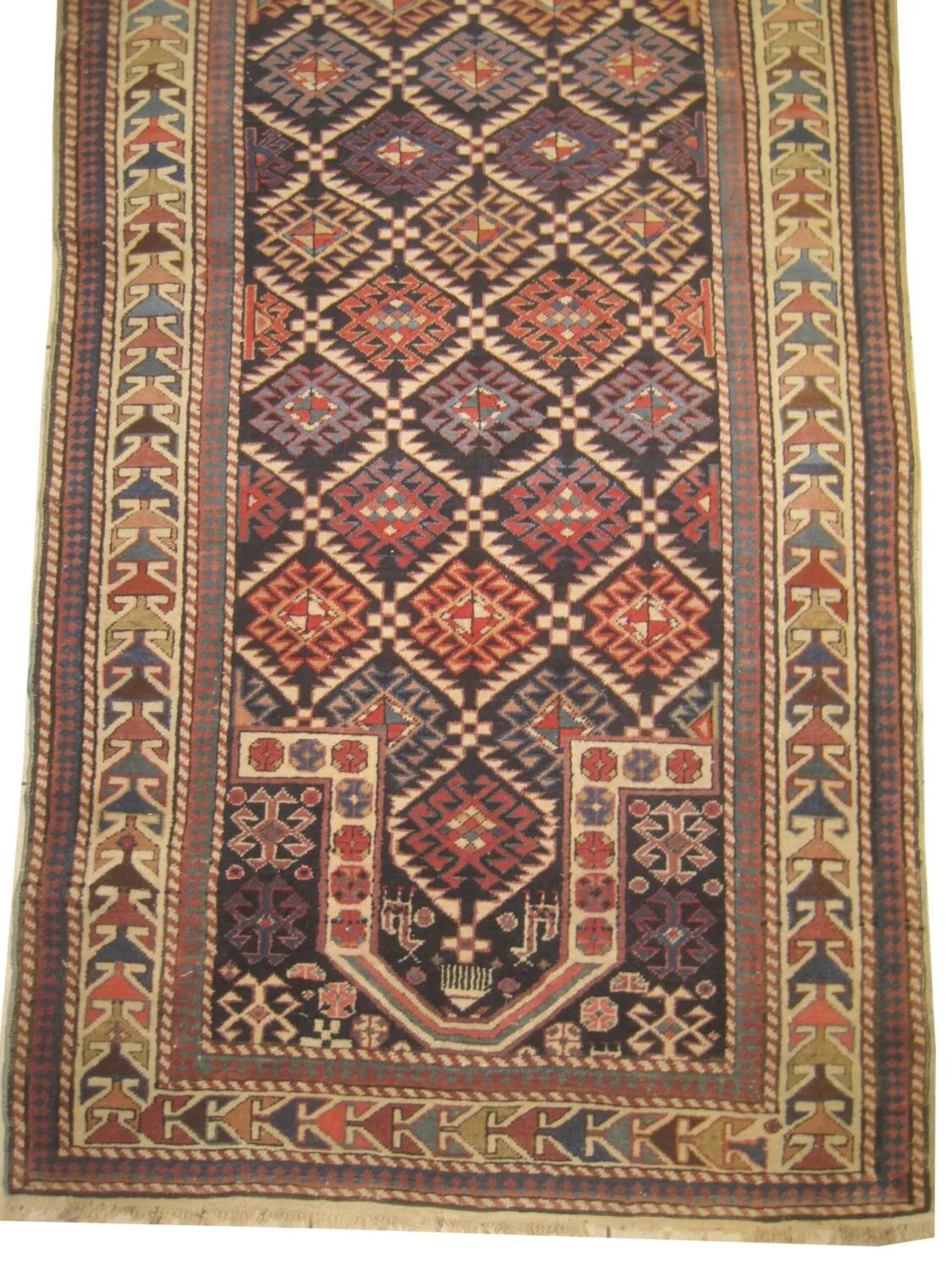 Shirvan Caucasian - Image 4