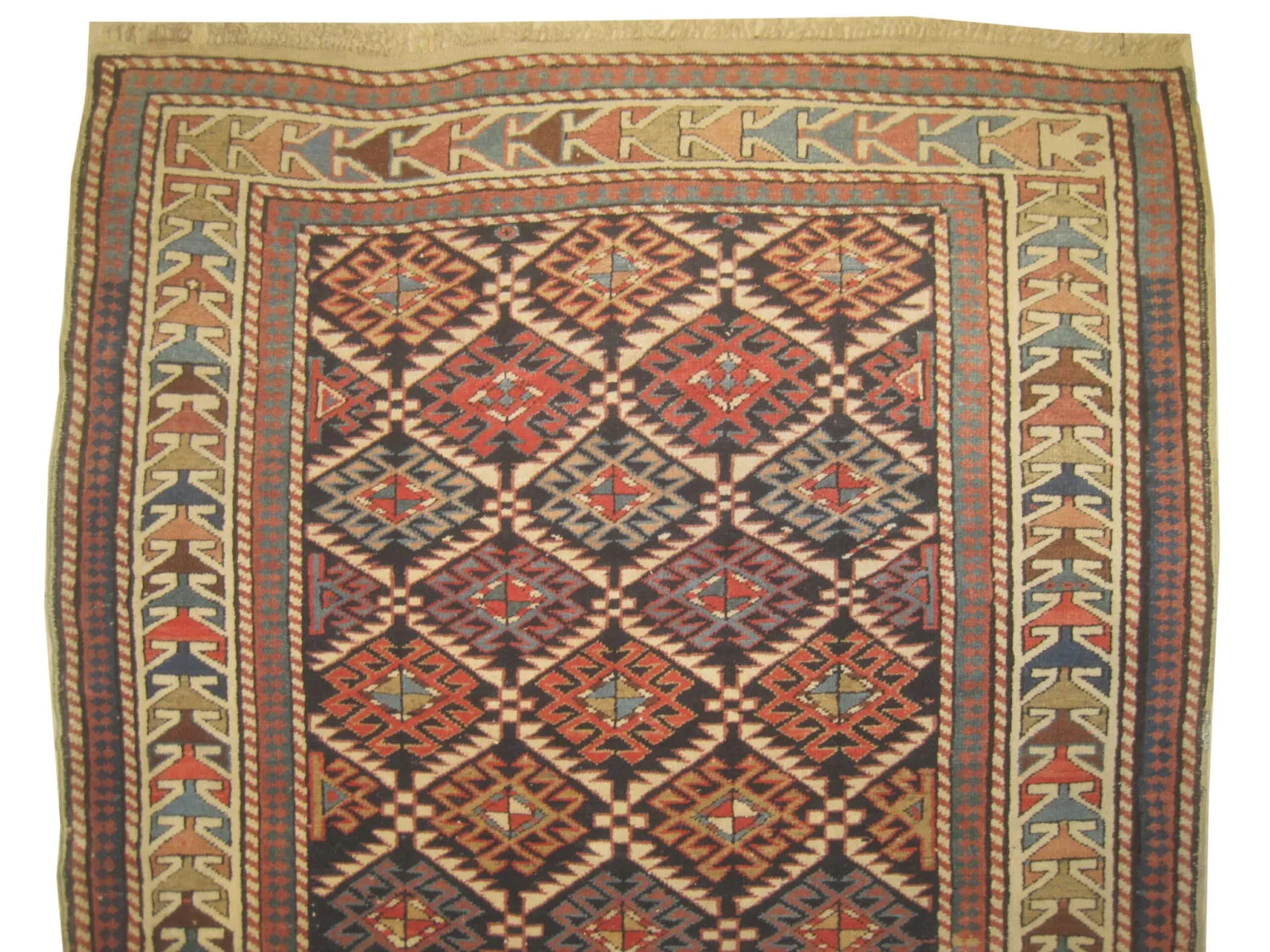 Shirvan Caucasian - Image 3