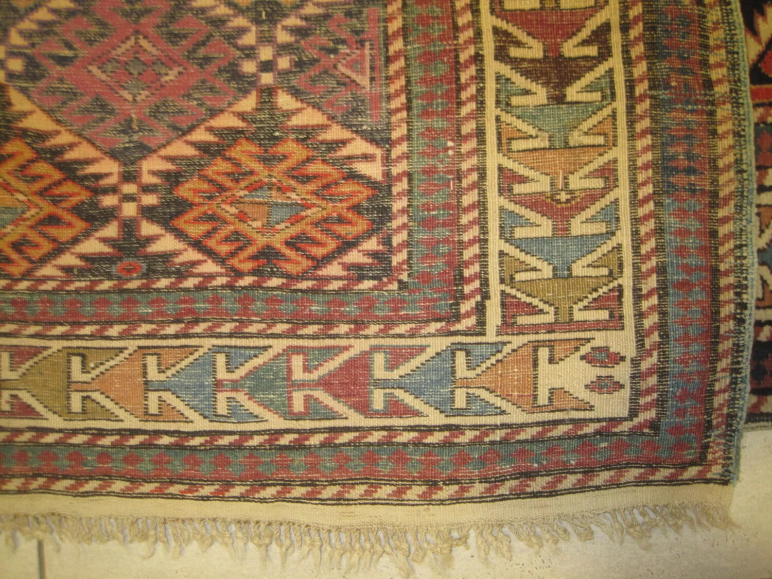 Shirvan Caucasian - Image 2