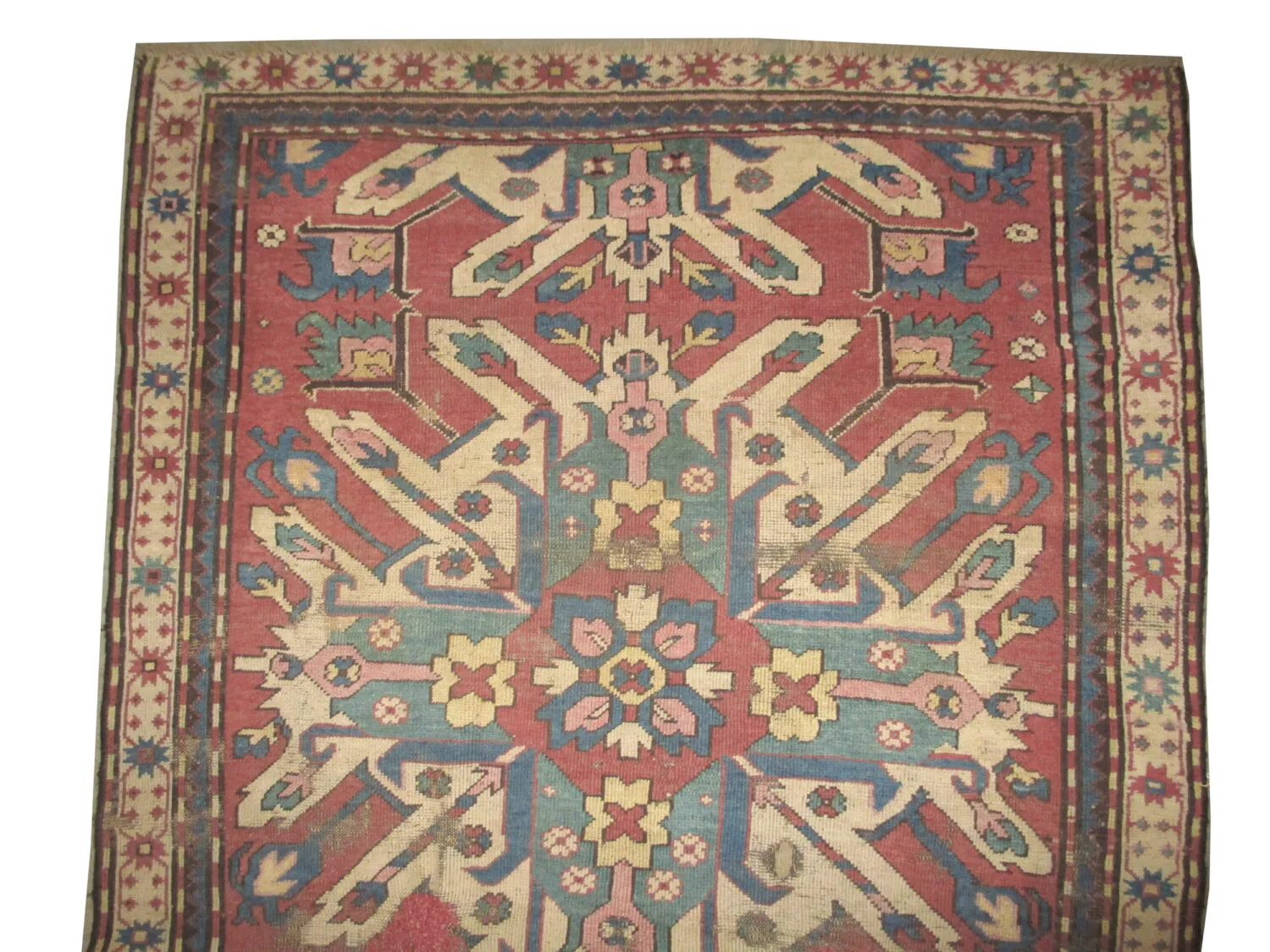 Chelaberd Caucasian - Image 3