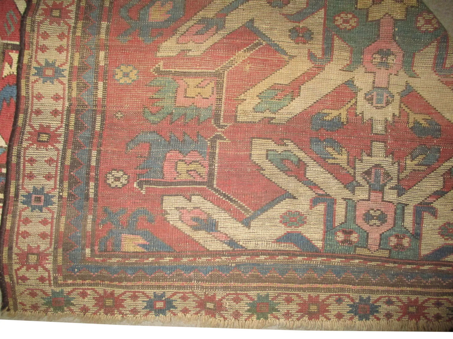 Chelaberd Caucasian - Image 2