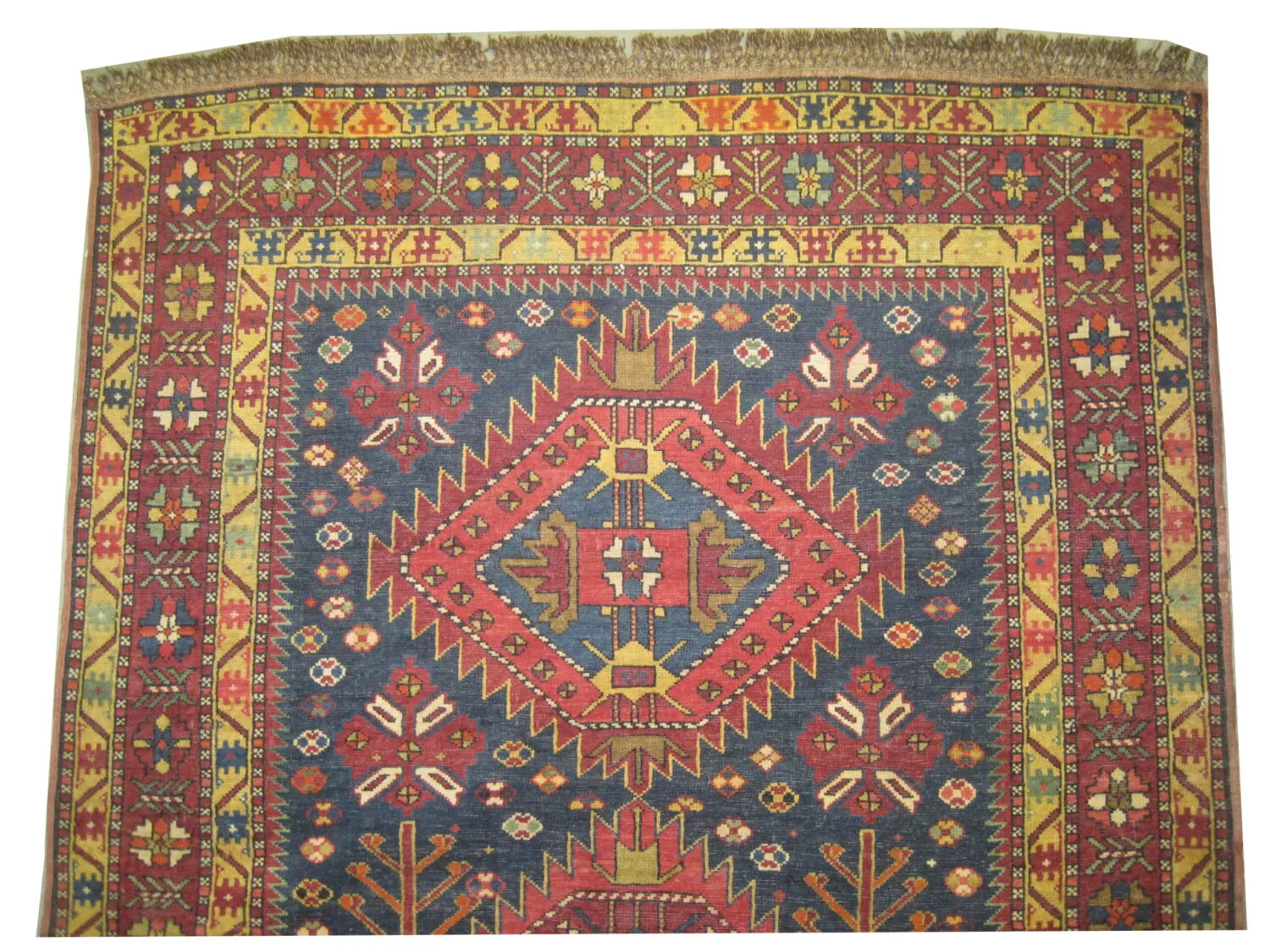 Kouba Caucasian - Image 3