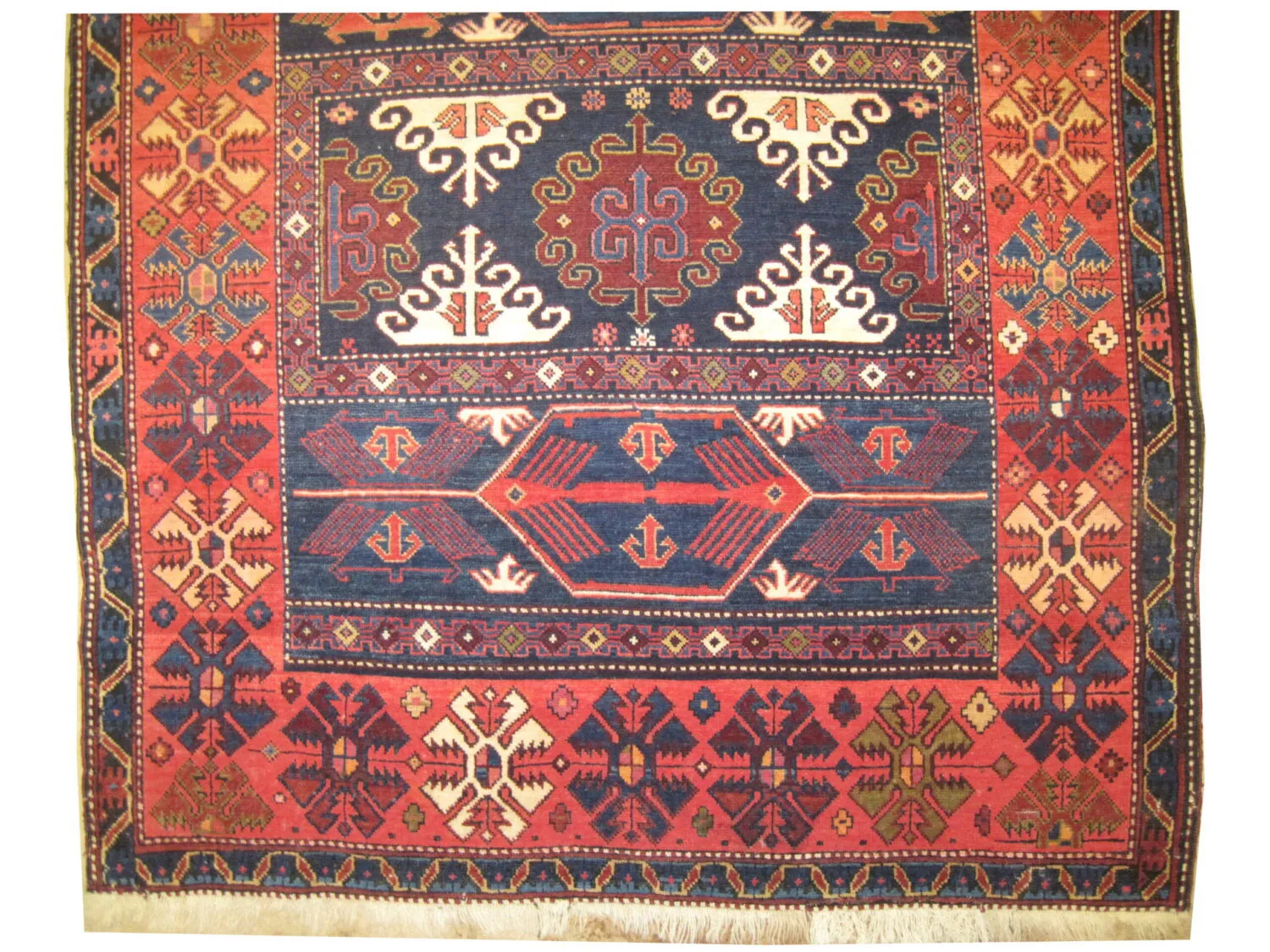 Lenkoran Caucasian - Image 3