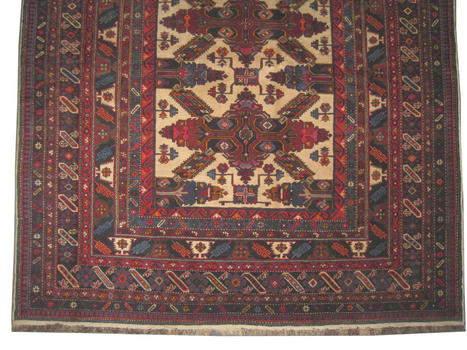 Sejshour Caucasian - Image 3