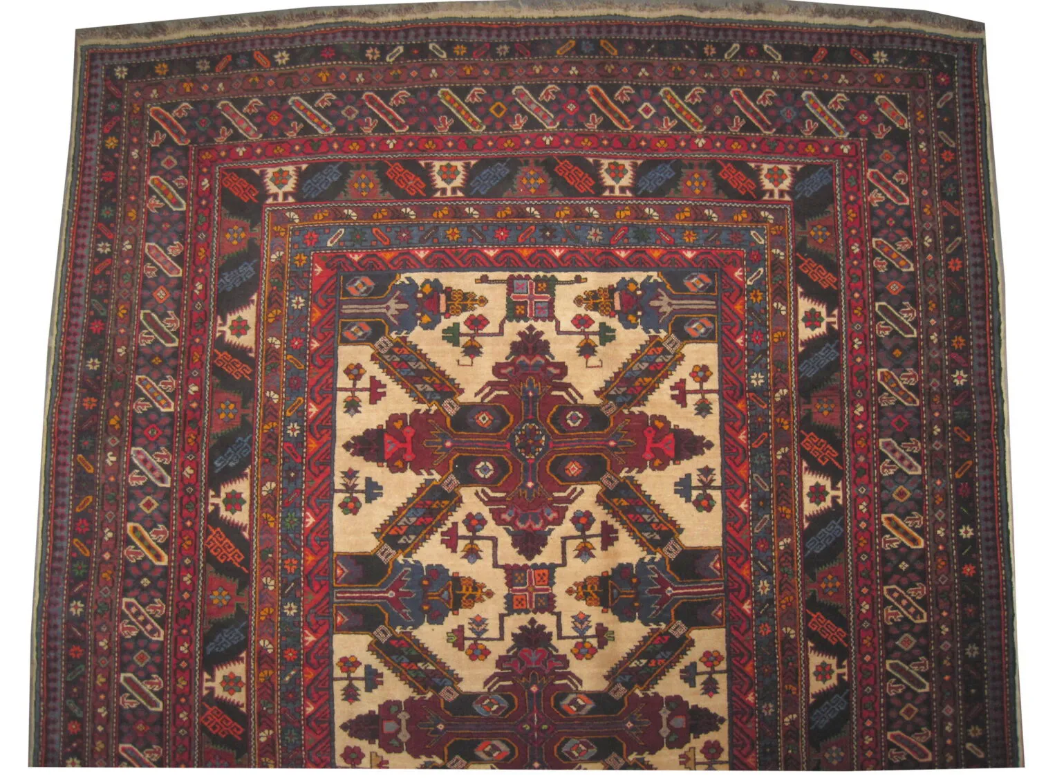 Sejshour Caucasian - Image 2