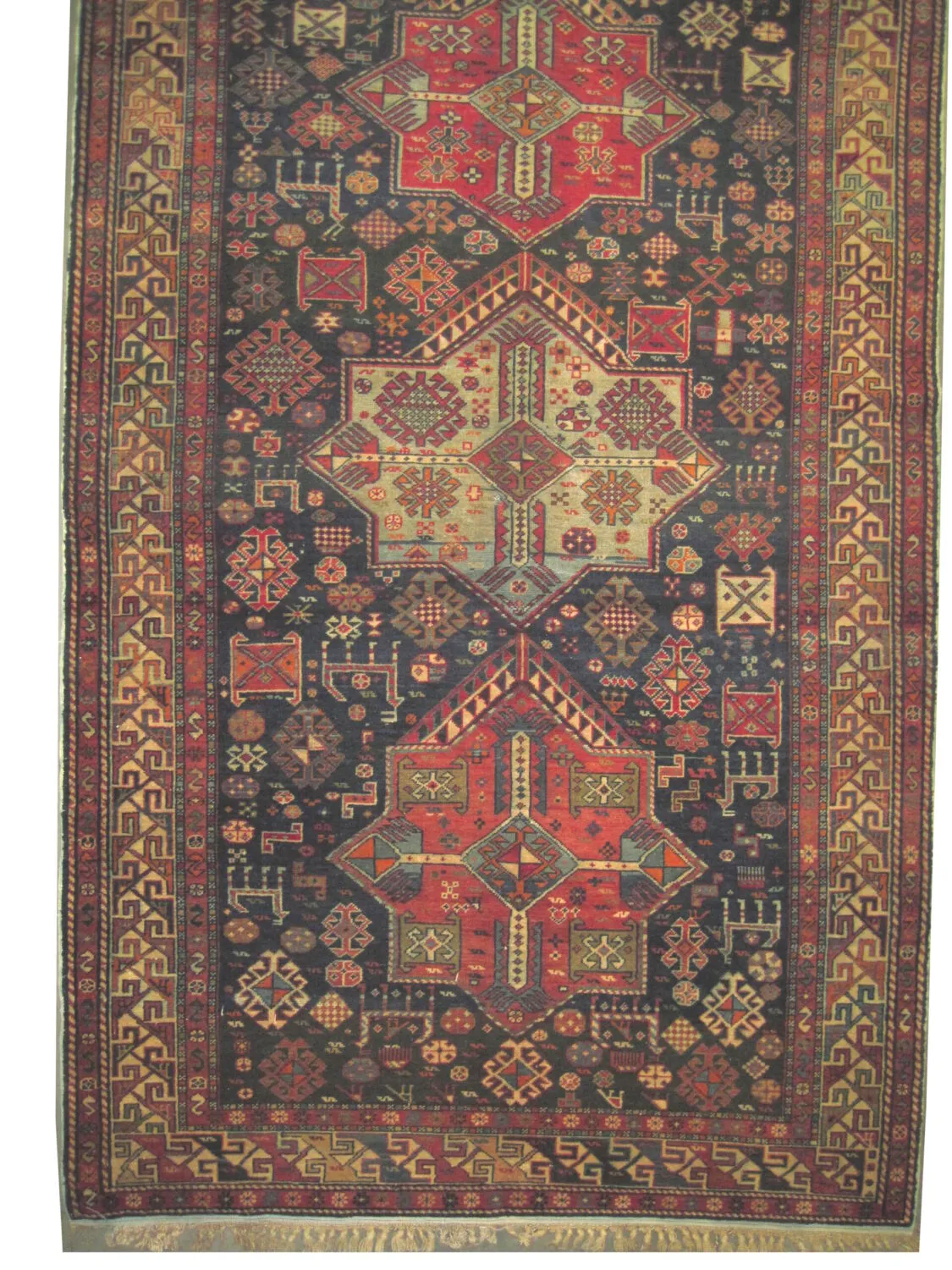 Akstafa Caucasian - Image 3