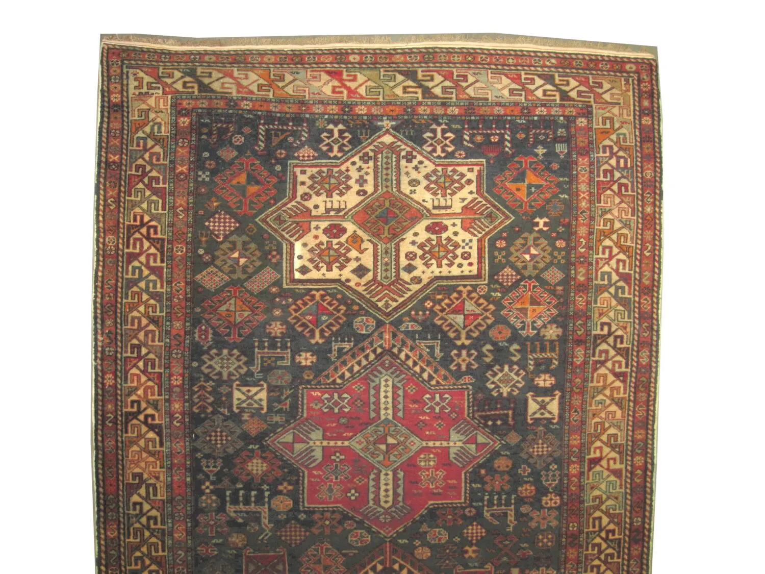 Akstafa Caucasian - Image 2