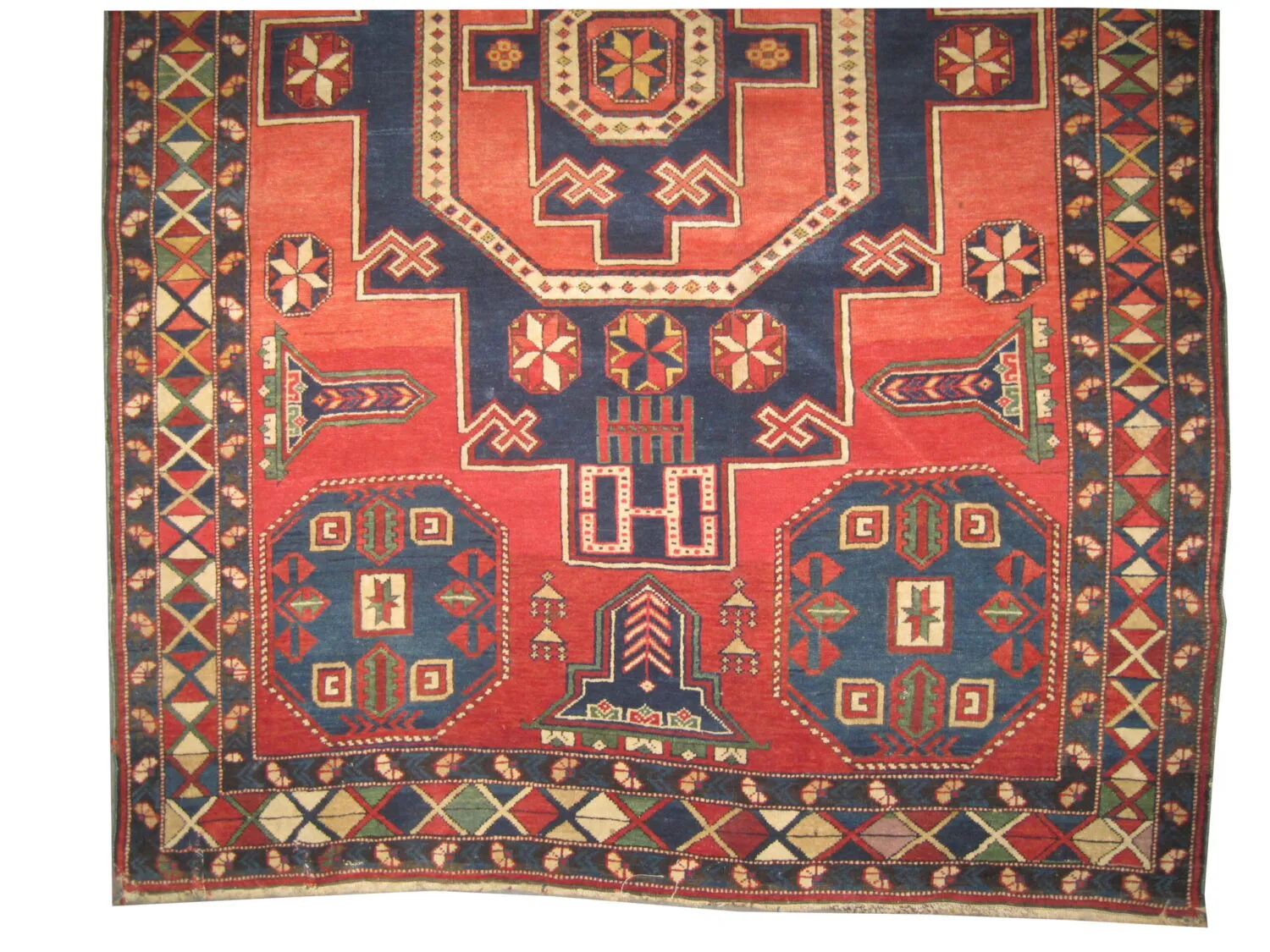 Konakent Caucasian - Image 3