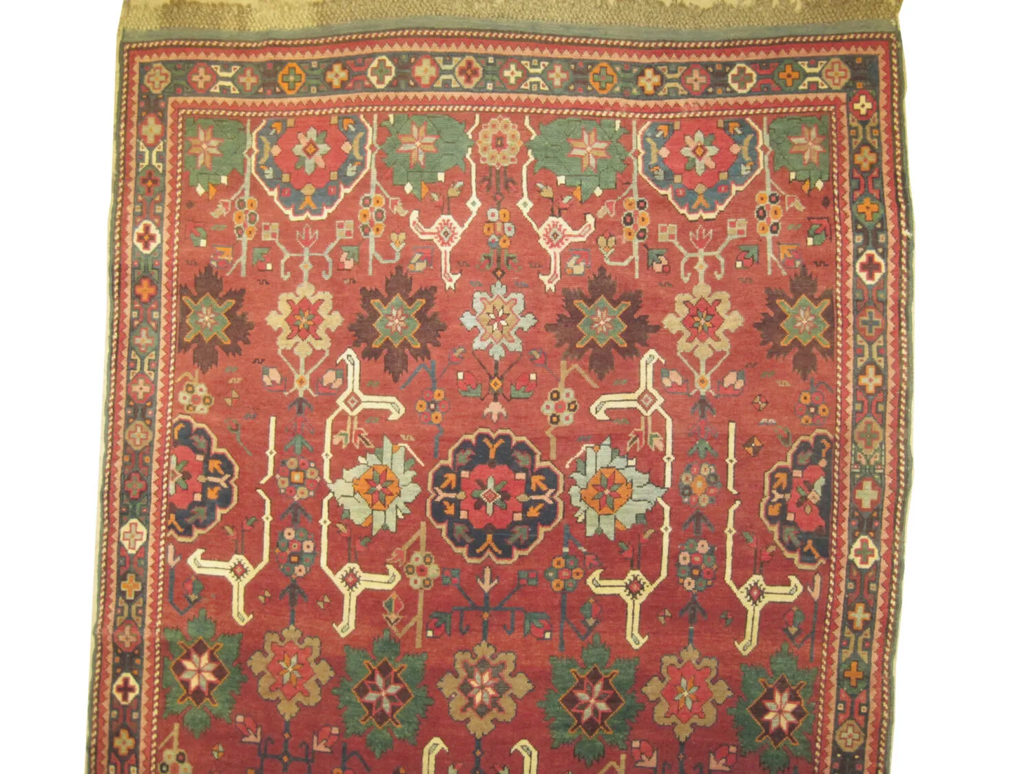 Karabagh Caucasian - Image 3