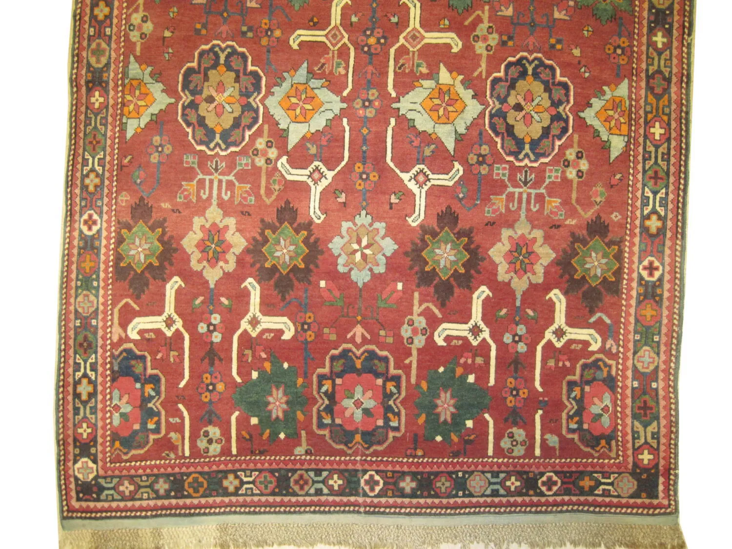 Karabagh Caucasian - Image 2