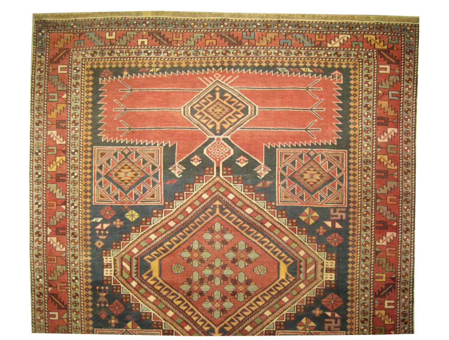 Shirvan Caucasian - Image 3