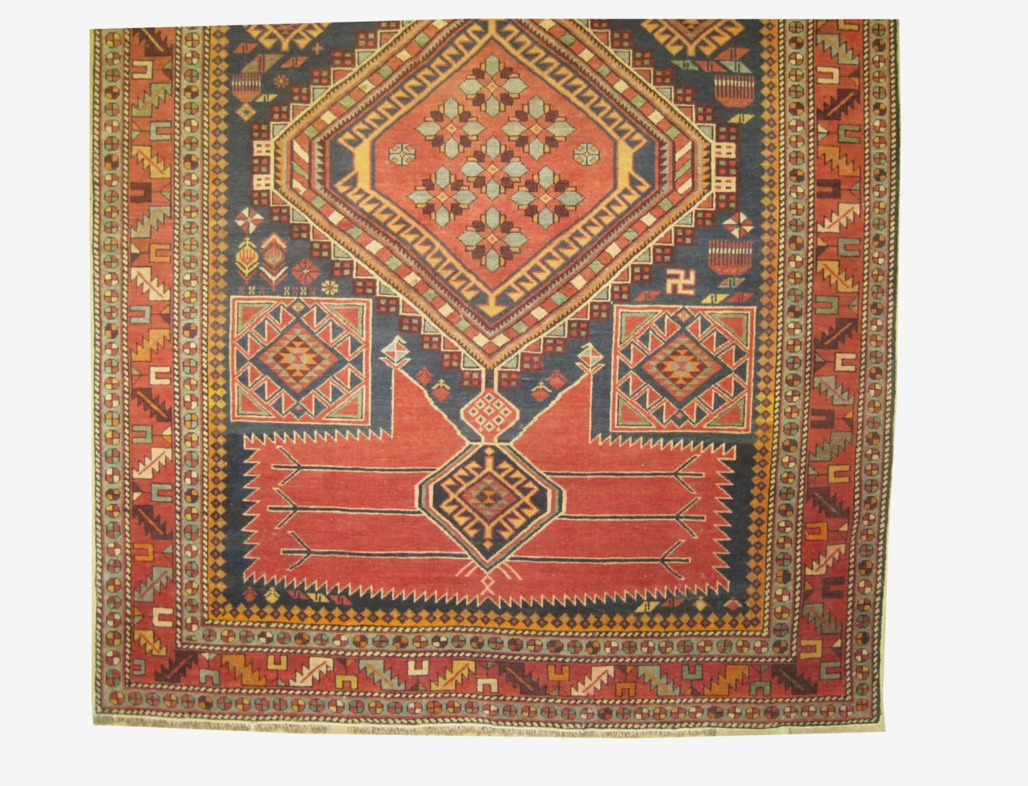 Shirvan Caucasian - Image 2
