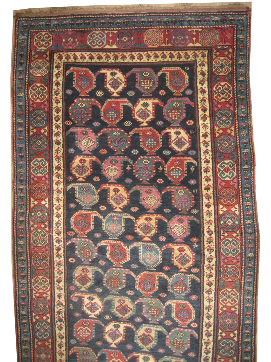 Shusha Caucasian - Image 3