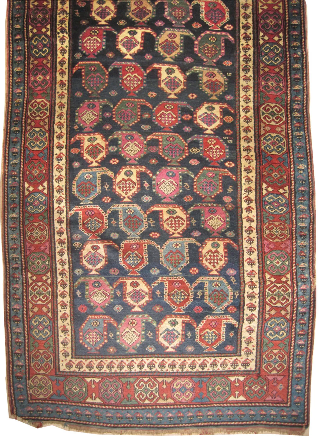 Shusha Caucasian - Image 2