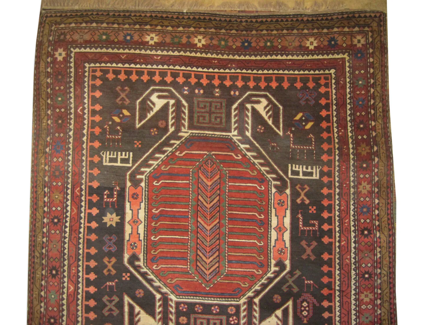 Lenkoran Caucasian - Image 3