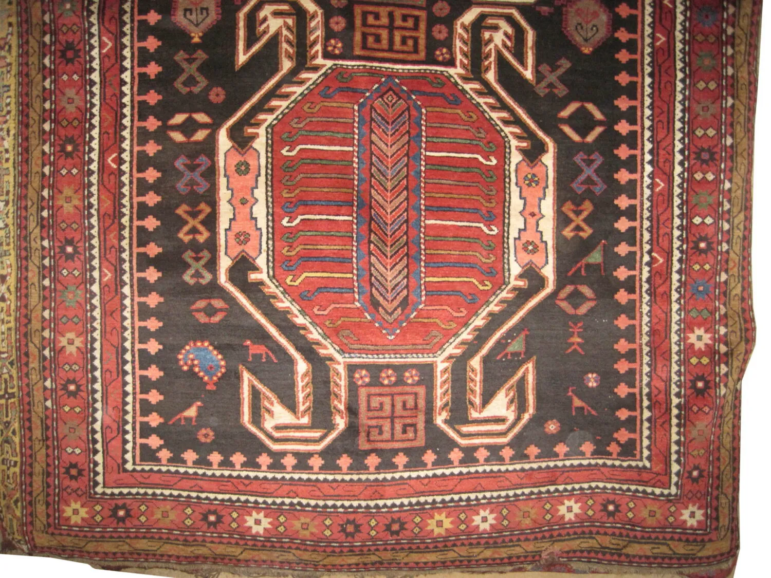 Lenkoran Caucasian - Image 2