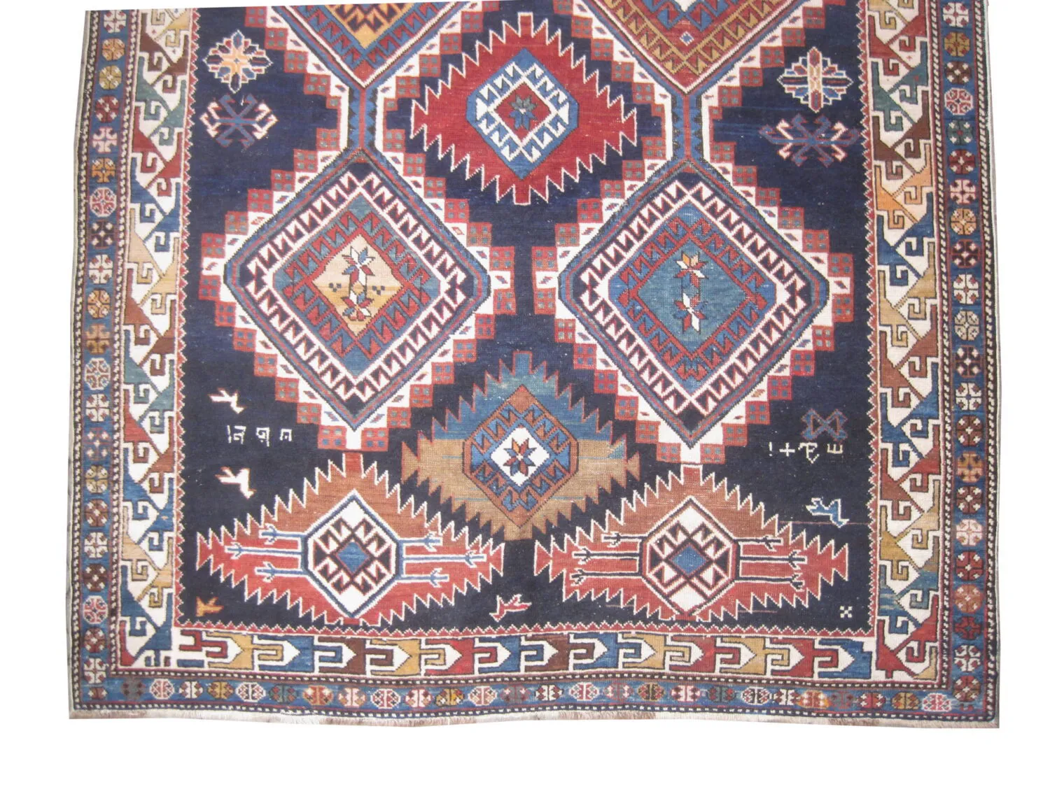Shirvan Caucasian - Image 3