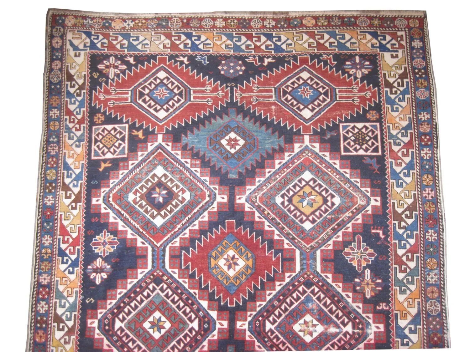 Shirvan Caucasian - Image 2