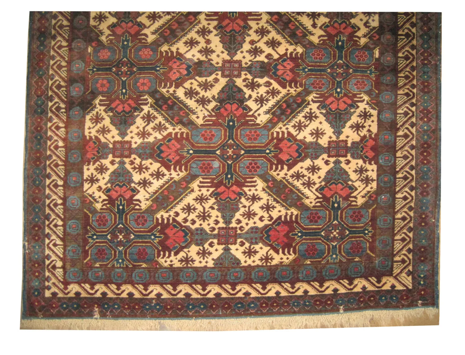Sejshour Caucasian - Image 2