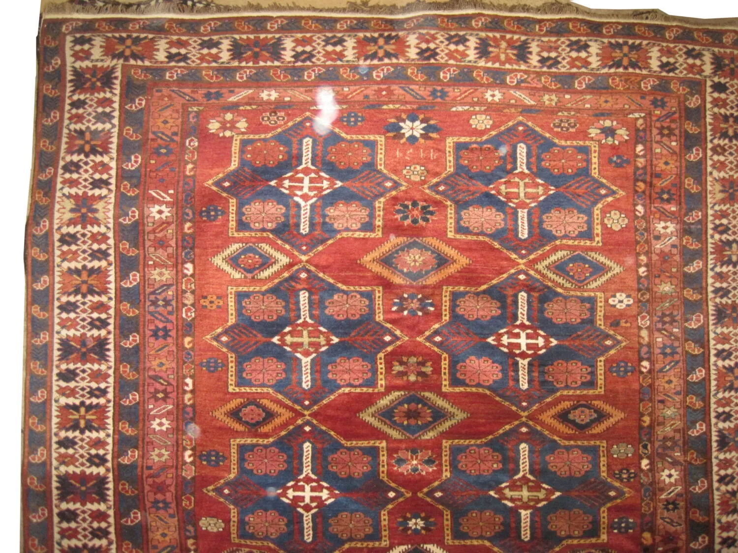 Shirvan Caucasian