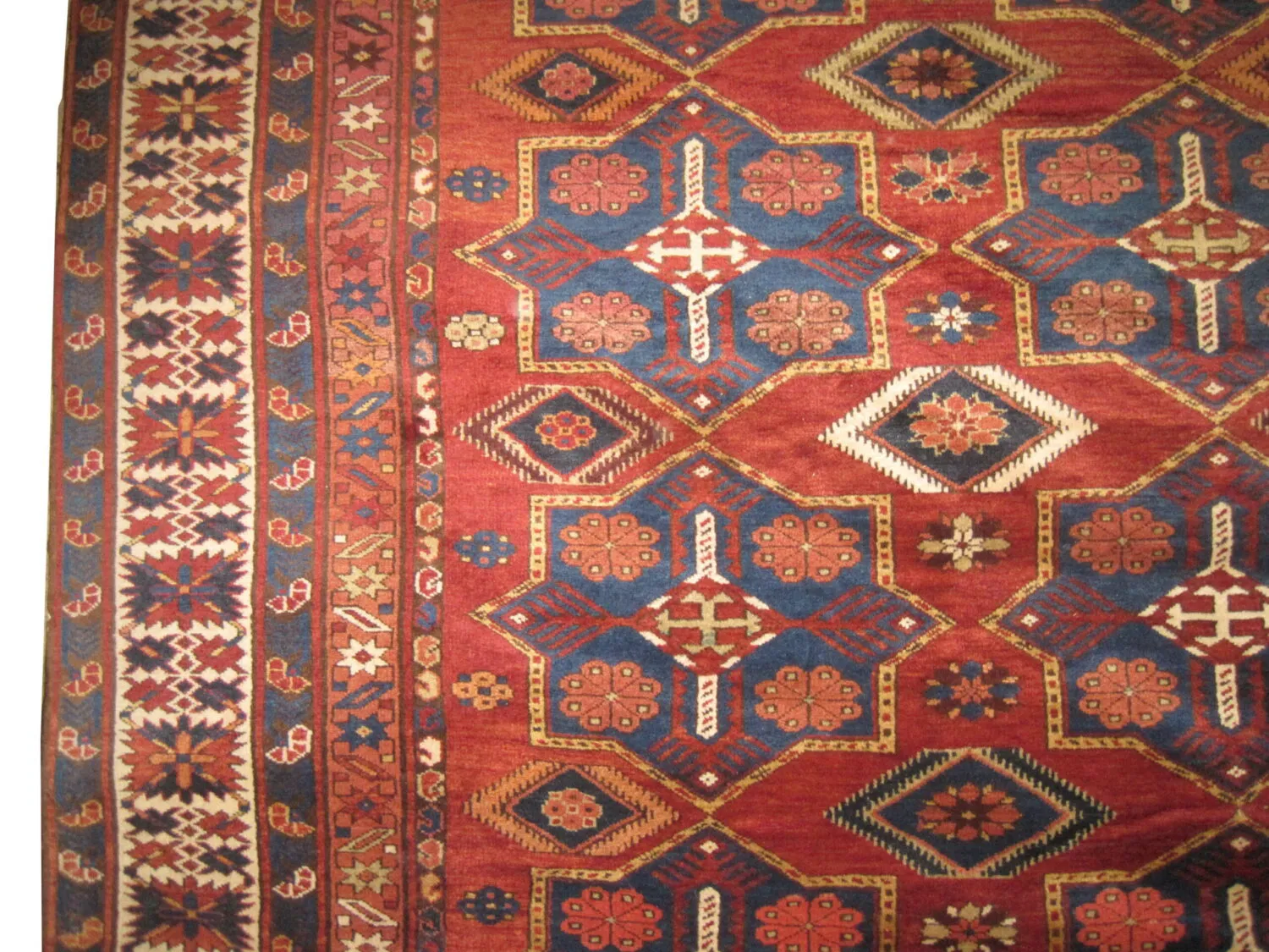 Shirvan Caucasian - Image 2