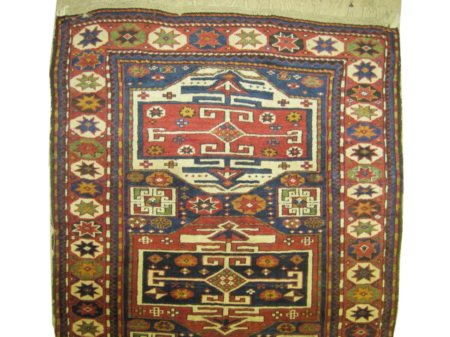 Karatchoph Caucasian - Image 3