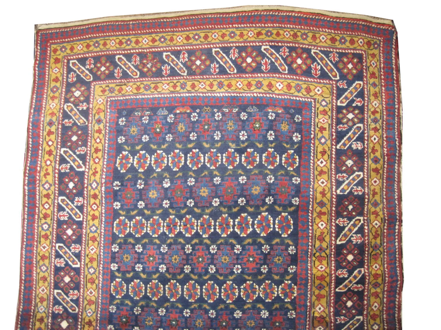 Chichi Caucasian - Image 2