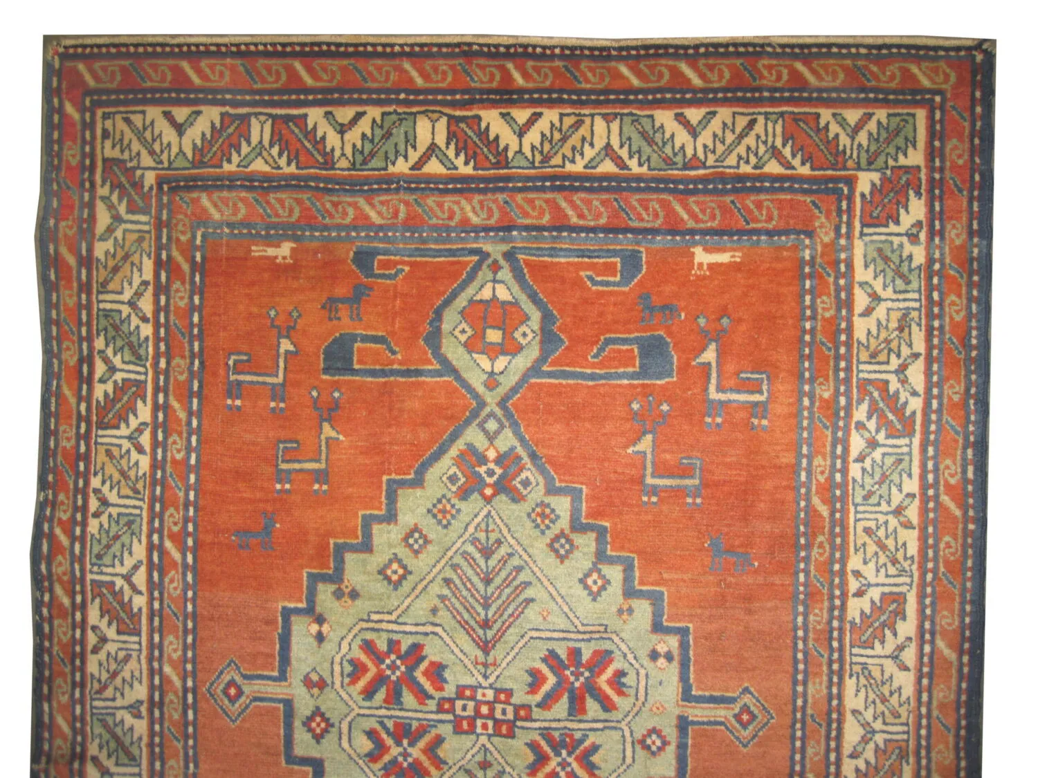 Kazak Caucasian - Image 3