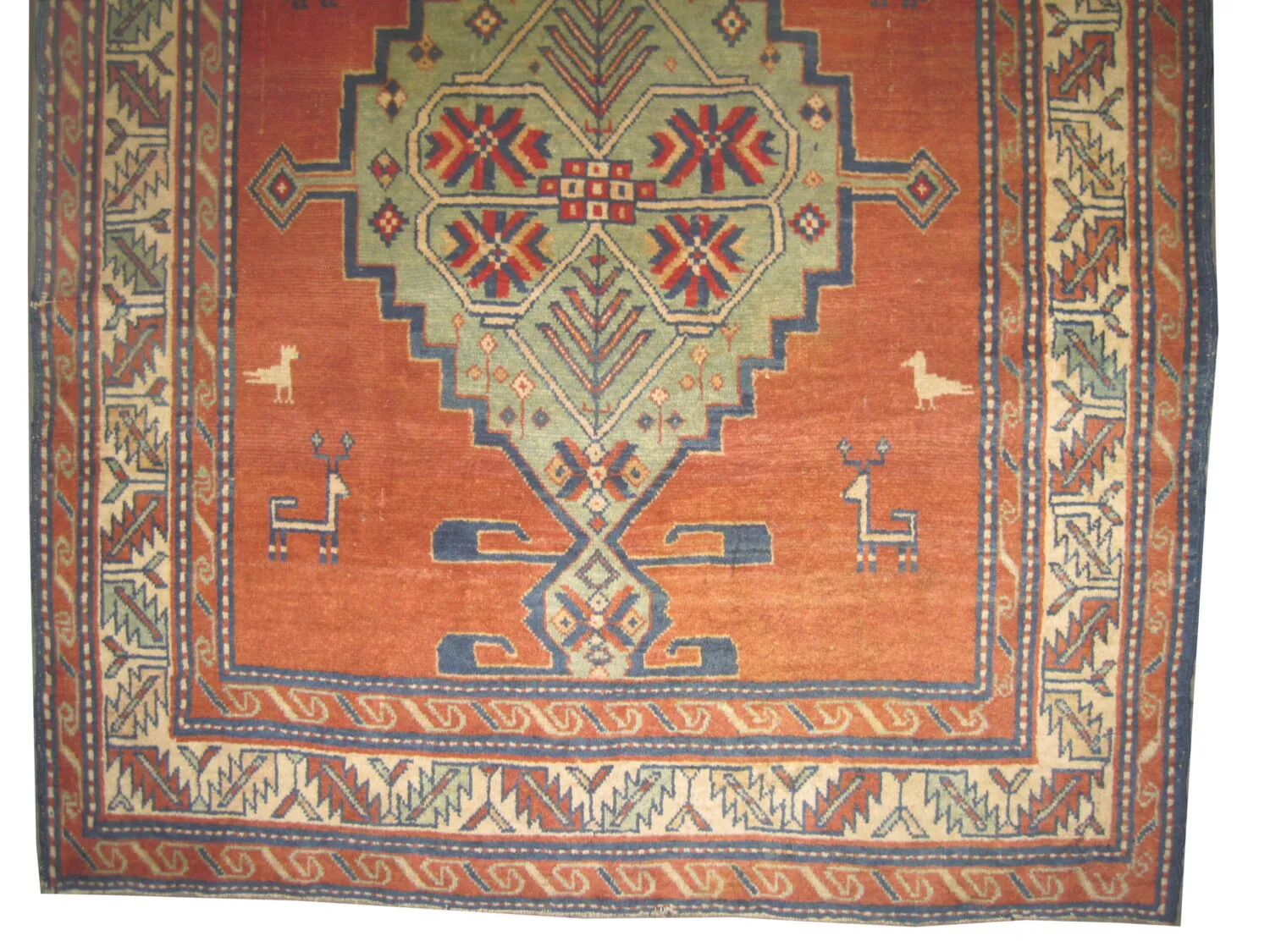 Kazak Caucasian - Image 2