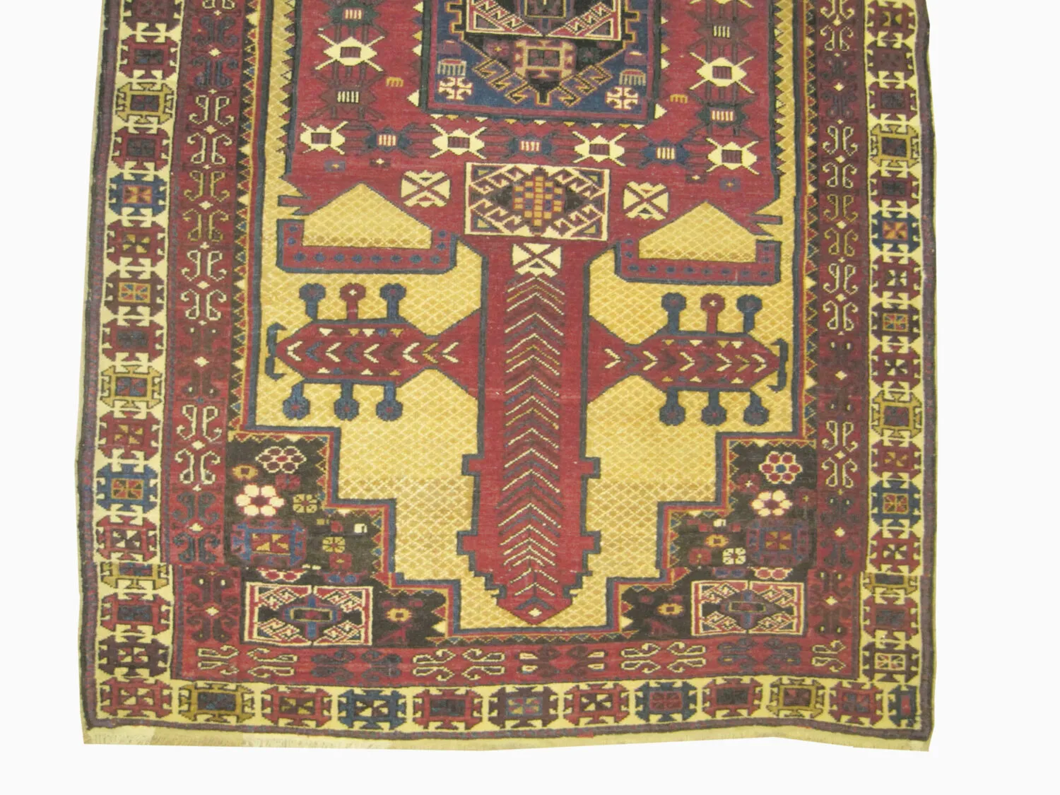 Shirvan Caucasian - Image 2