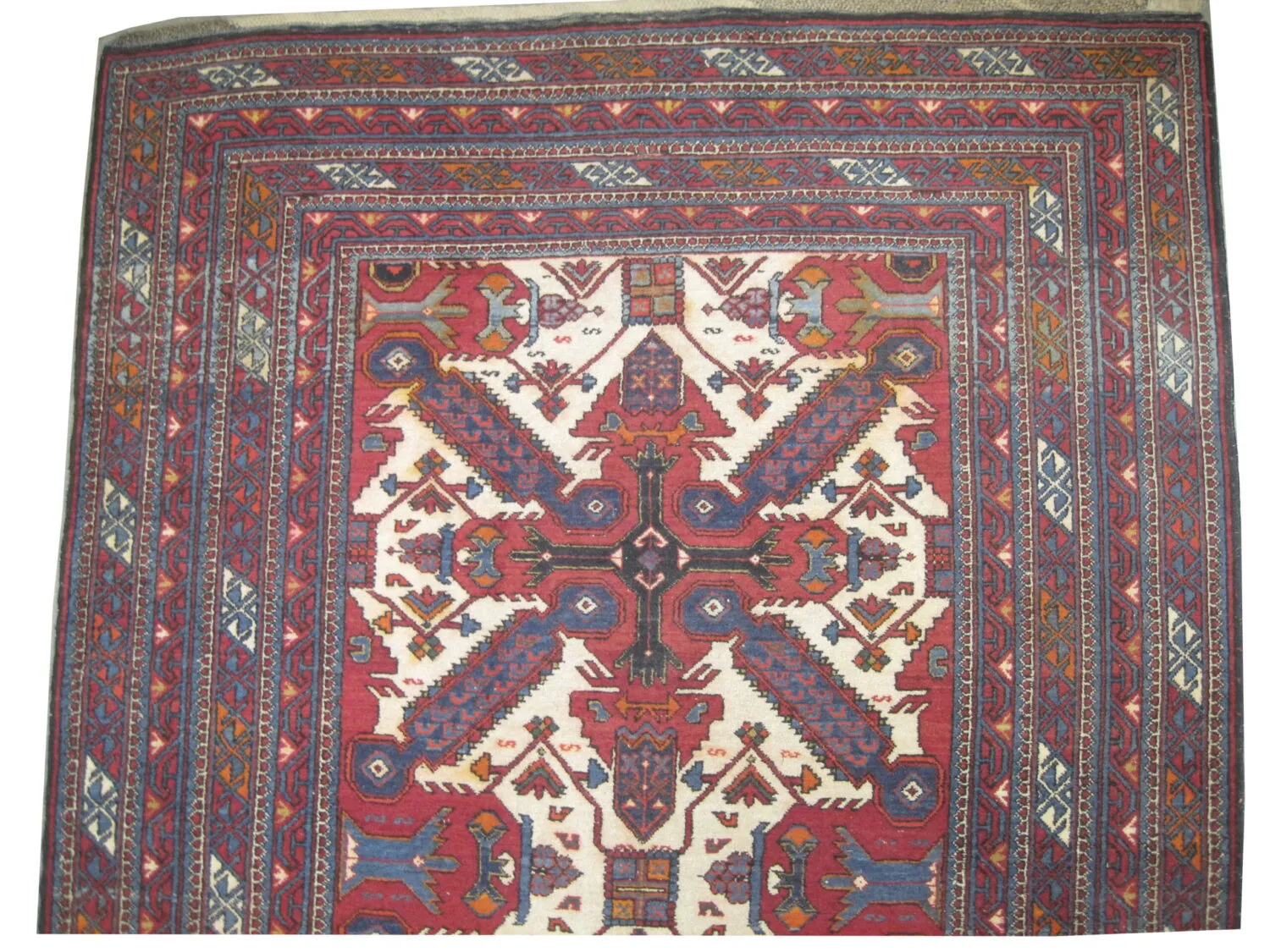 Sejshour Caucasian - Image 3