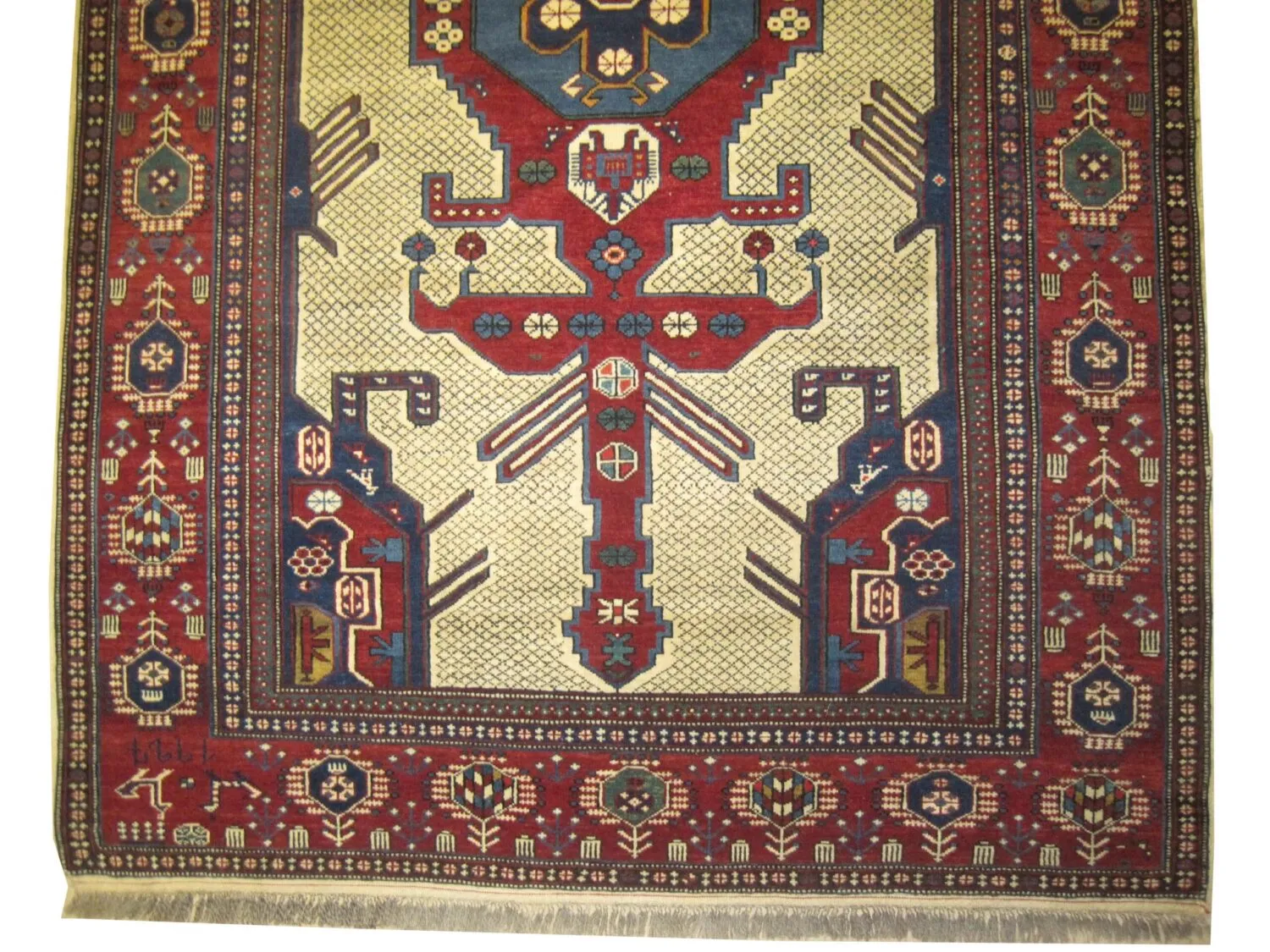 Shirvan Caucasian - Image 3