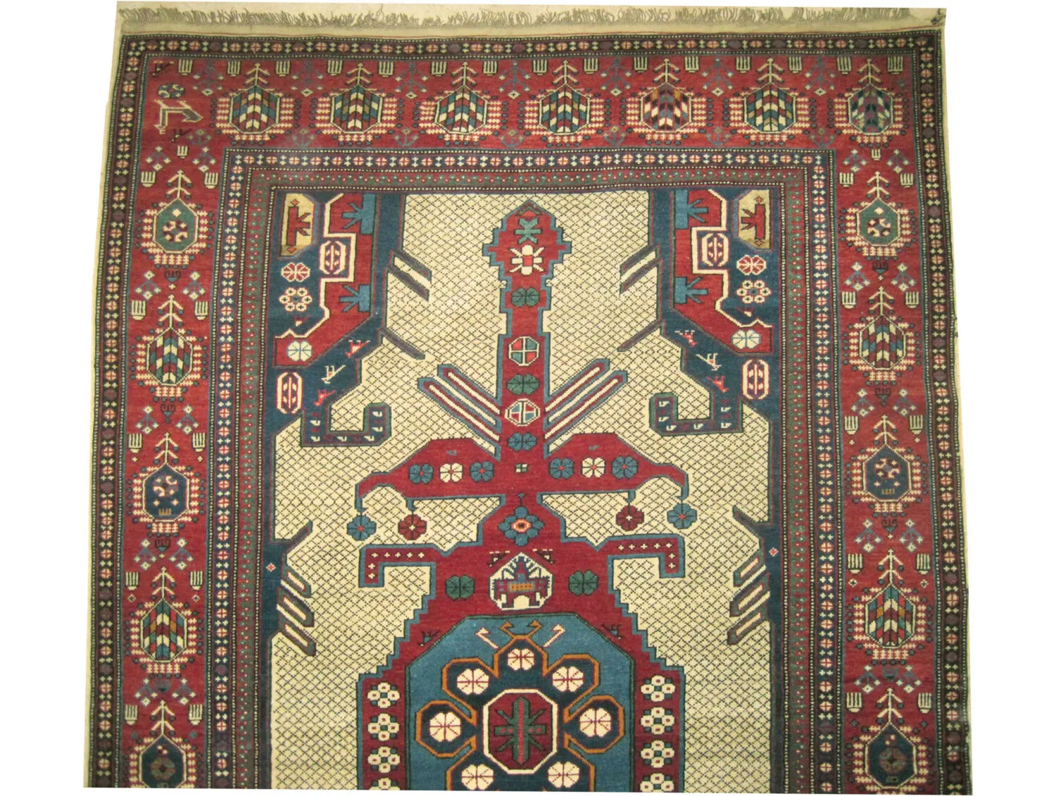 Shirvan Caucasian - Image 2