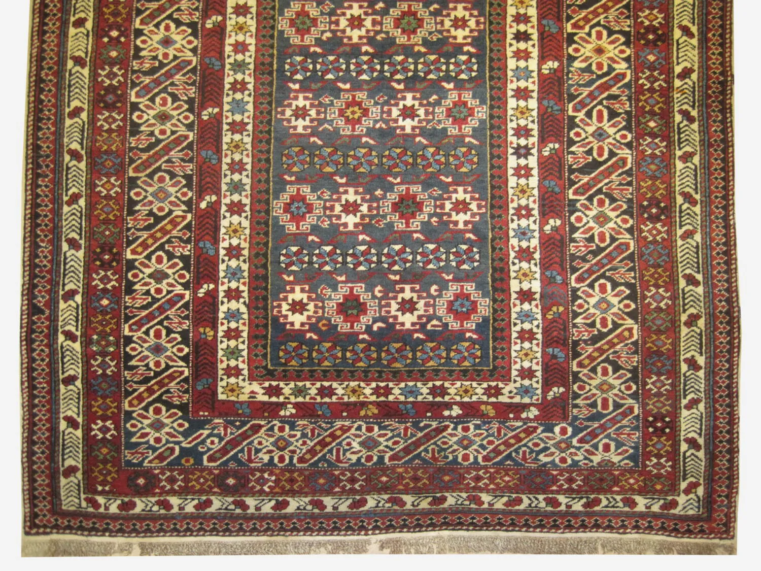 Chichi Caucasian - Image 3