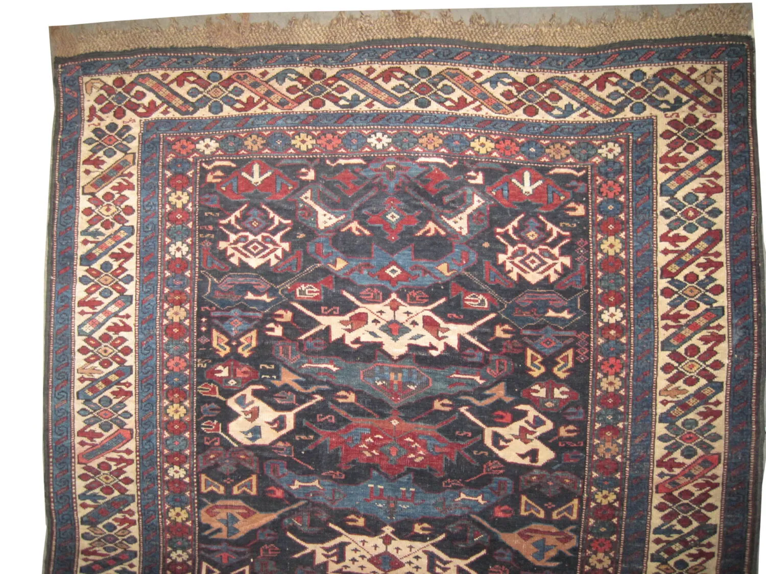Bidjof Kouba Caucasian - Image 2