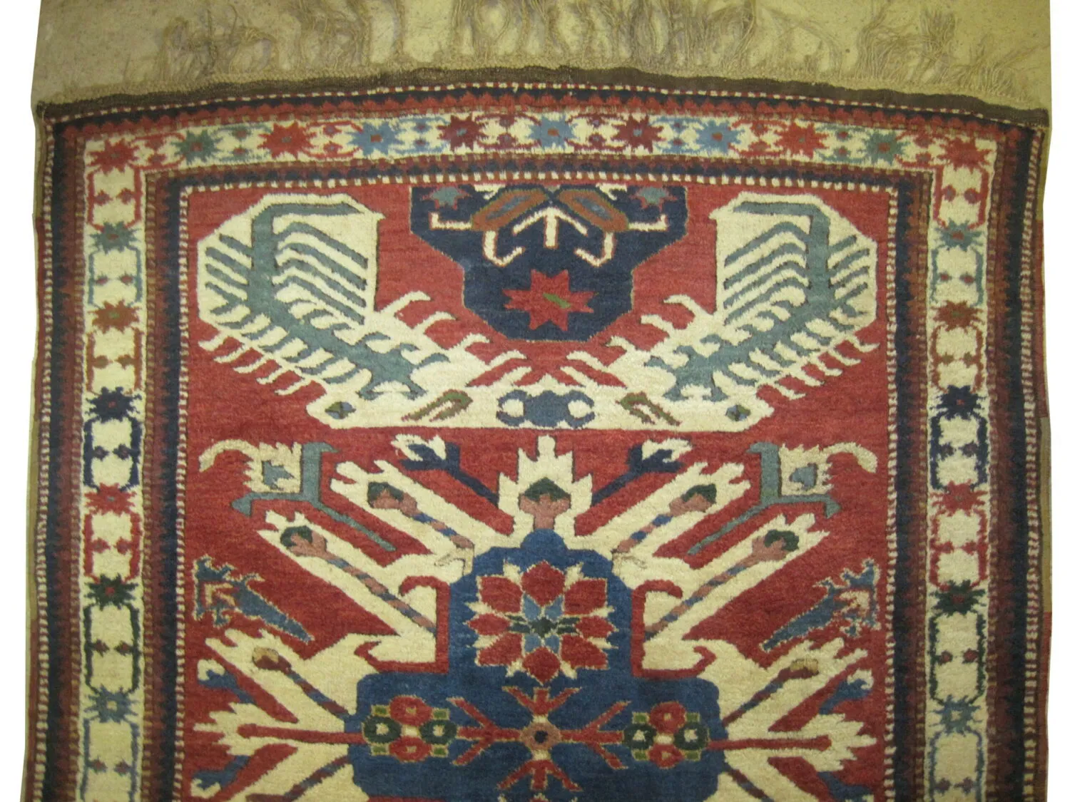 Chelaberd Caucasian - Image 2