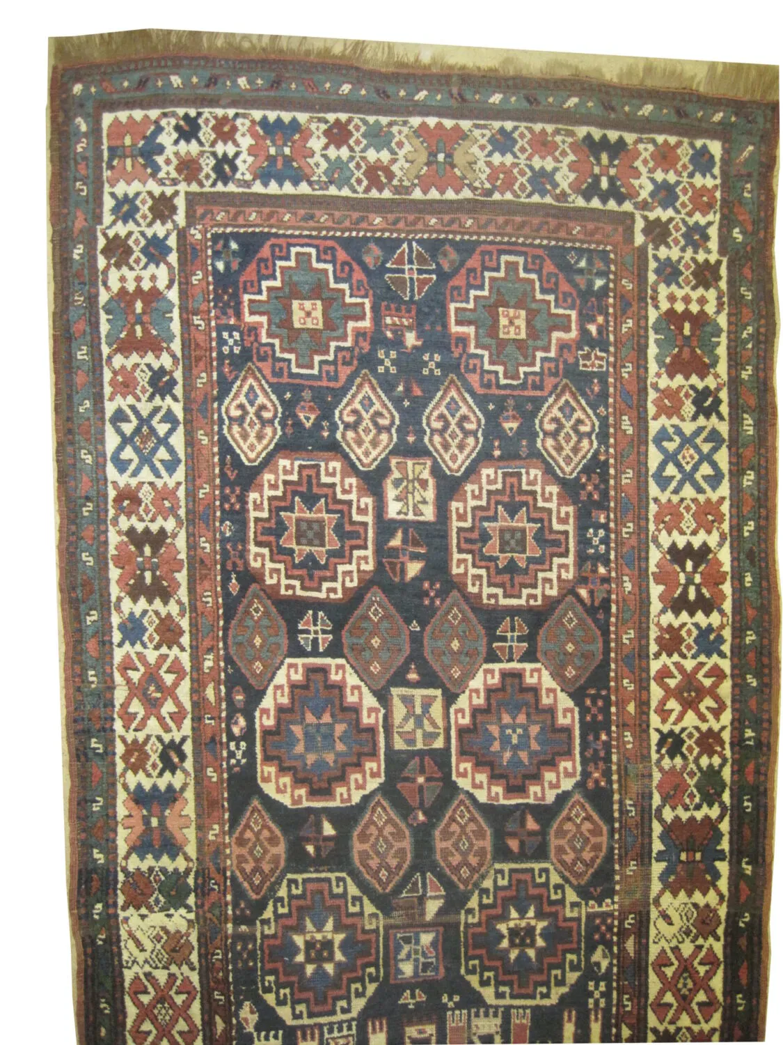 Moghan Caucasian - Image 3