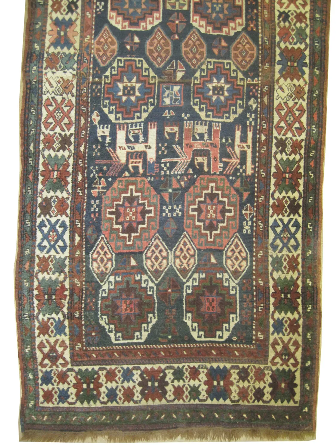 Moghan Caucasian - Image 2