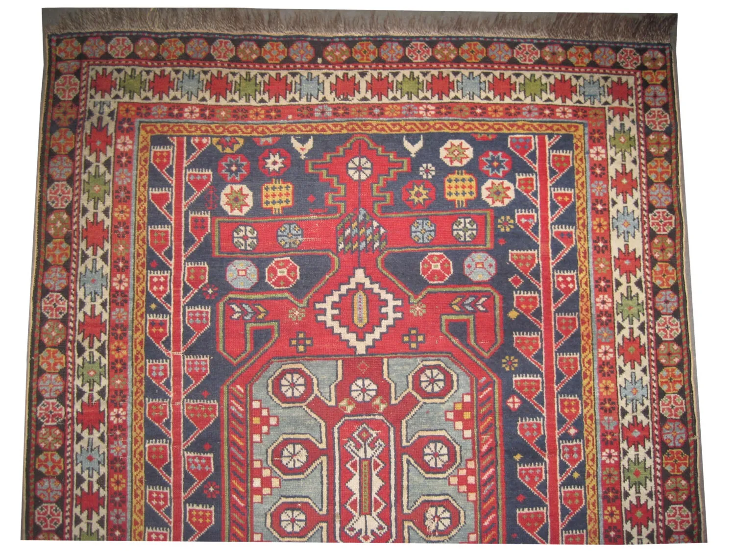 Shirvan Caucasian - Image 3