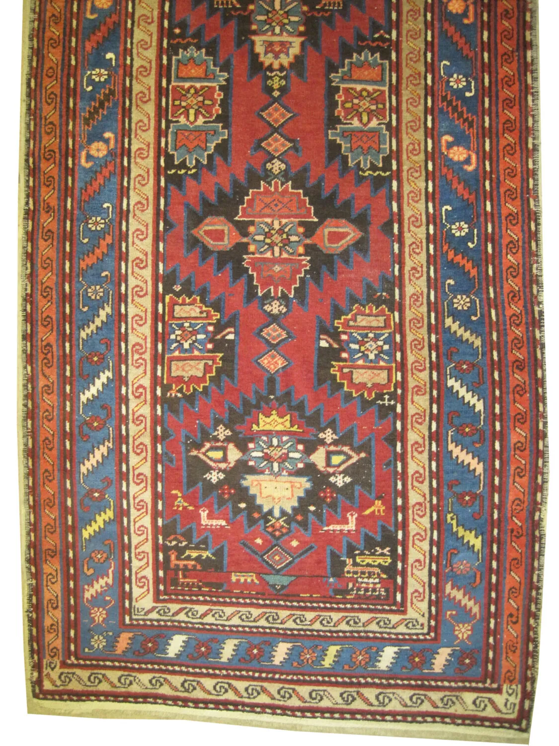 Surahani Caucasian - Image 3