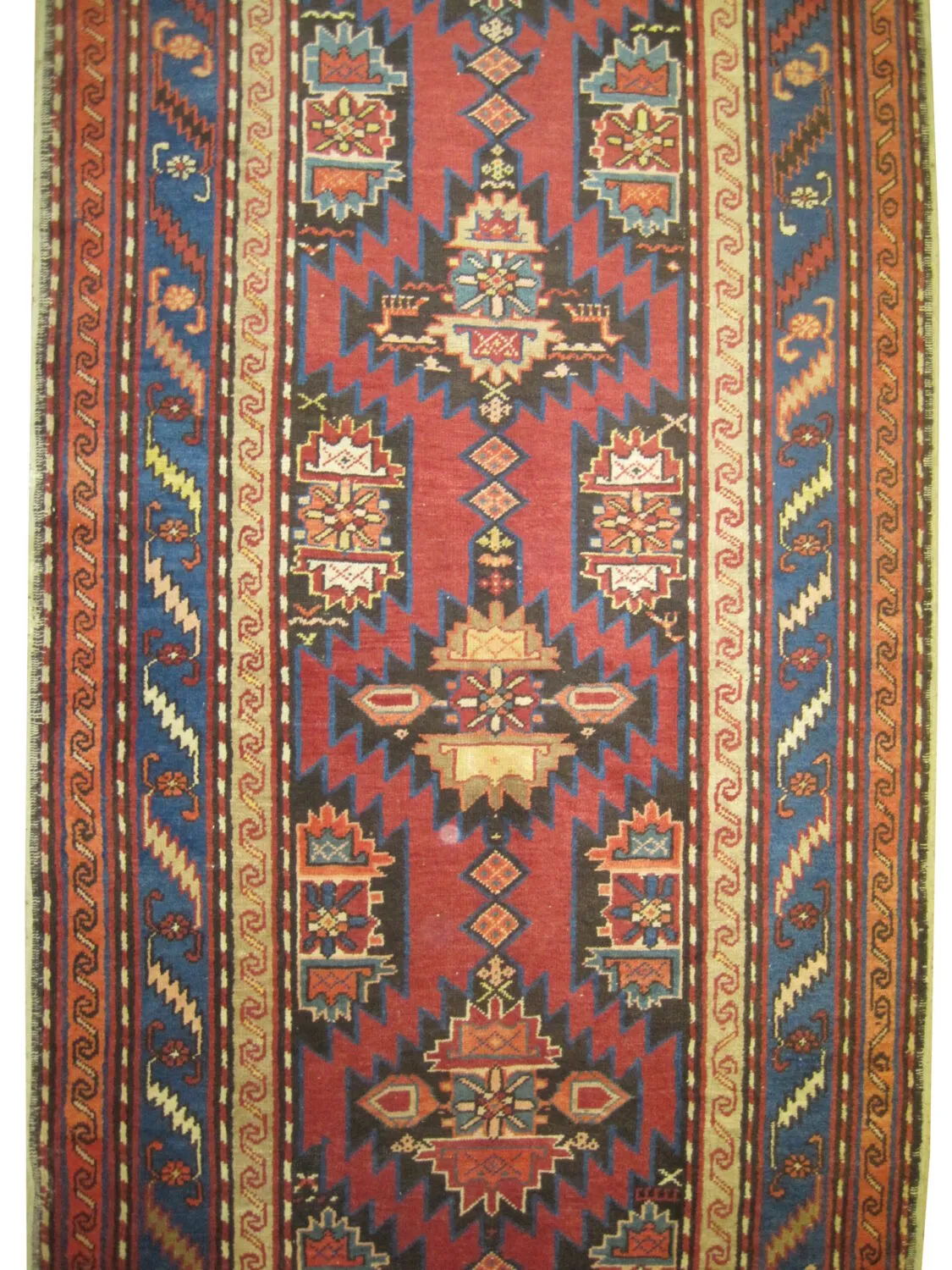 Surahani Caucasian - Image 2