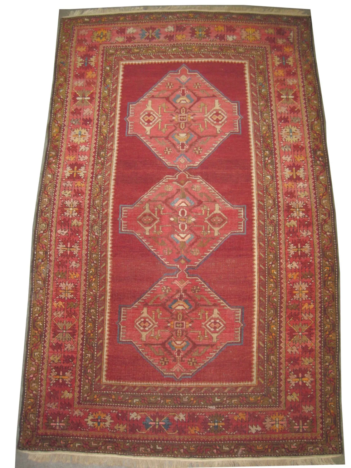 Kouba Caucasian